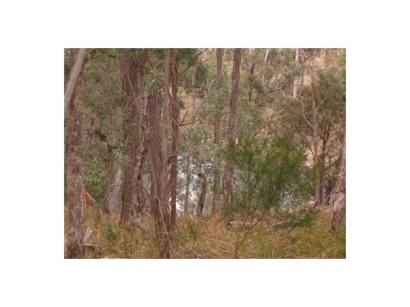 Lot 126 Bruxner Highway, Tenterfield NSW 2372