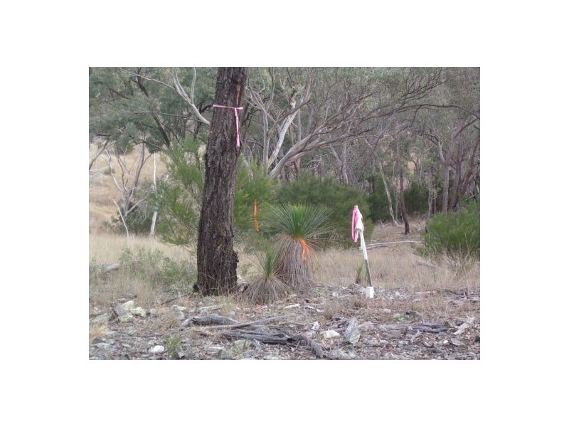 Lot 126 Bruxner Highway, Tenterfield NSW 2372