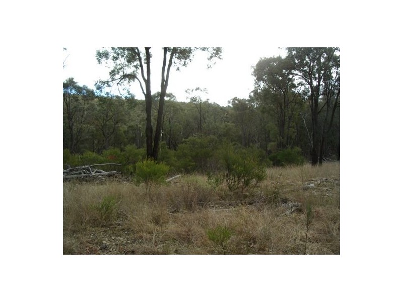 Lot 126 Bruxner Highway, Tenterfield NSW 2372