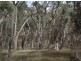 Lot 126 Bruxner Highway, Tenterfield NSW 2372