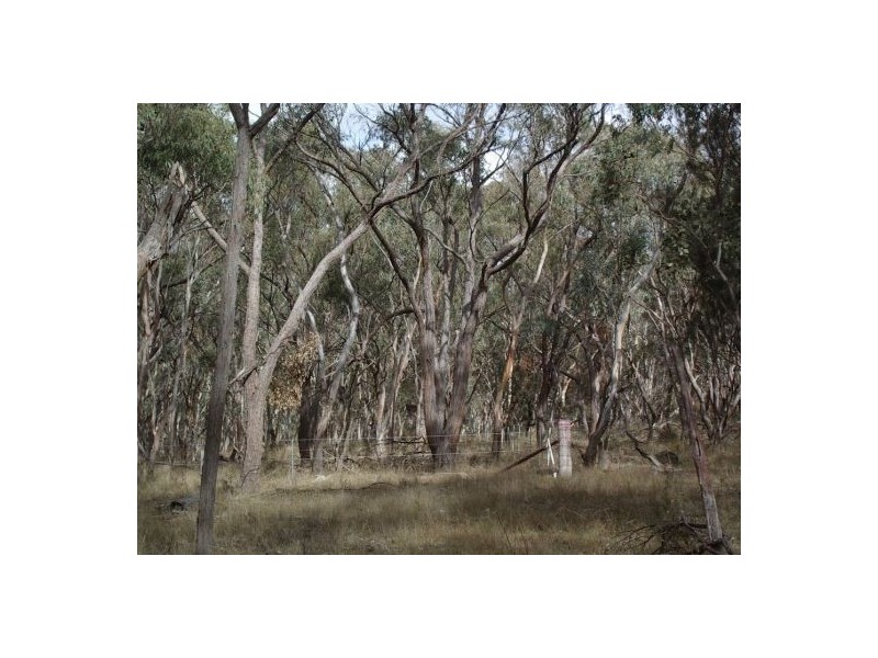 Lot 126 Bruxner Highway, Tenterfield NSW 2372
