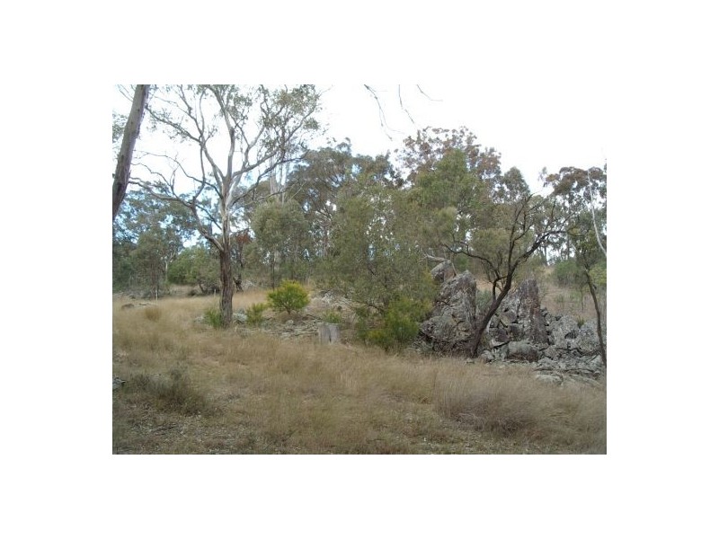 Lot 126 Bruxner Highway, Tenterfield NSW 2372
