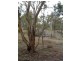 Lot 126 Bruxner Highway, Tenterfield NSW 2372