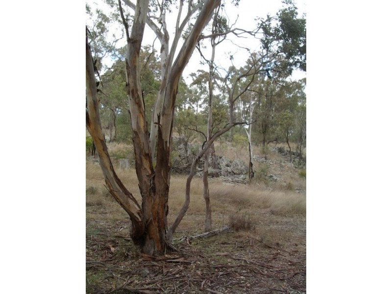 Lot 126 Bruxner Highway, Tenterfield NSW 2372