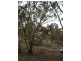 Lot 126 Bruxner Highway, Tenterfield NSW 2372