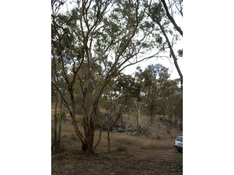 Lot 126 Bruxner Highway, Tenterfield NSW 2372