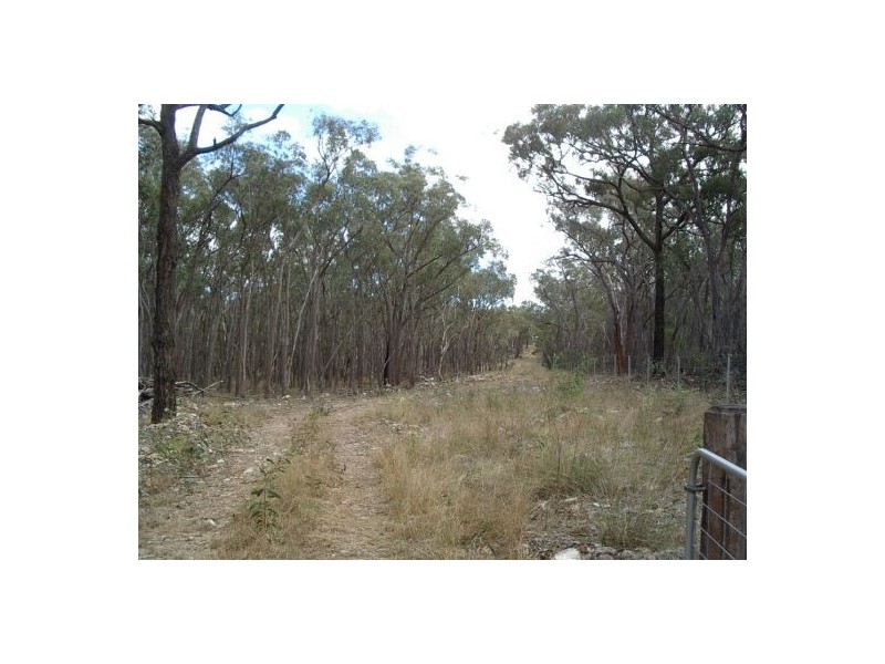 Lot 126 Bruxner Highway, Tenterfield NSW 2372