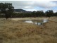 Lot 3 Holleys Road, Tenterfield NSW 2372