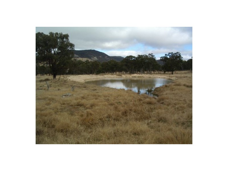Lot 3 Holleys Road, Tenterfield NSW 2372