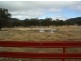 Lot 3 Holleys Road, Tenterfield NSW 2372