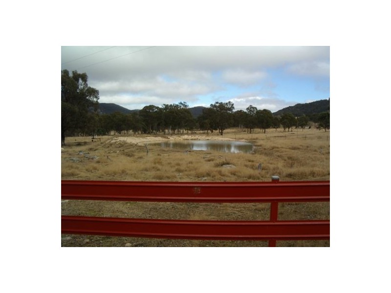 Lot 3 Holleys Road, Tenterfield NSW 2372