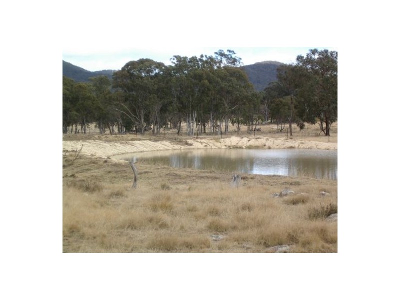 Lot 3 Holleys Road, Tenterfield NSW 2372