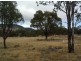 Lot 3 Holleys Road, Tenterfield NSW 2372