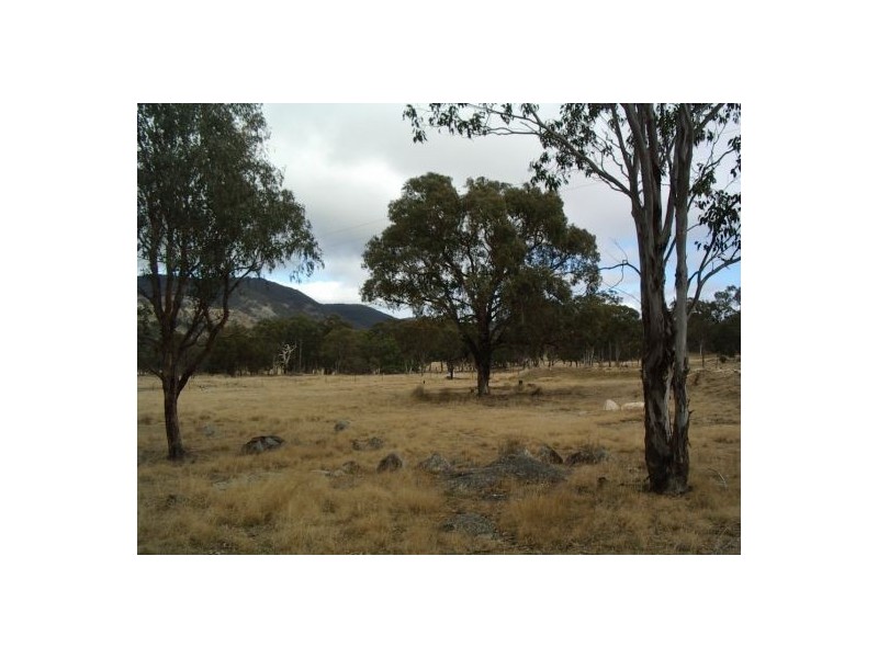 Lot 3 Holleys Road, Tenterfield NSW 2372