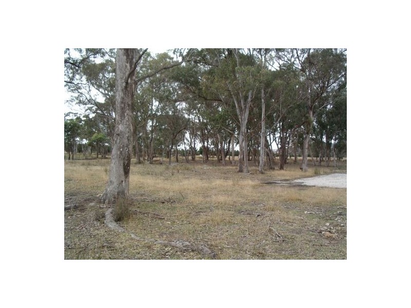Lot 3 Holleys Road, Tenterfield NSW 2372