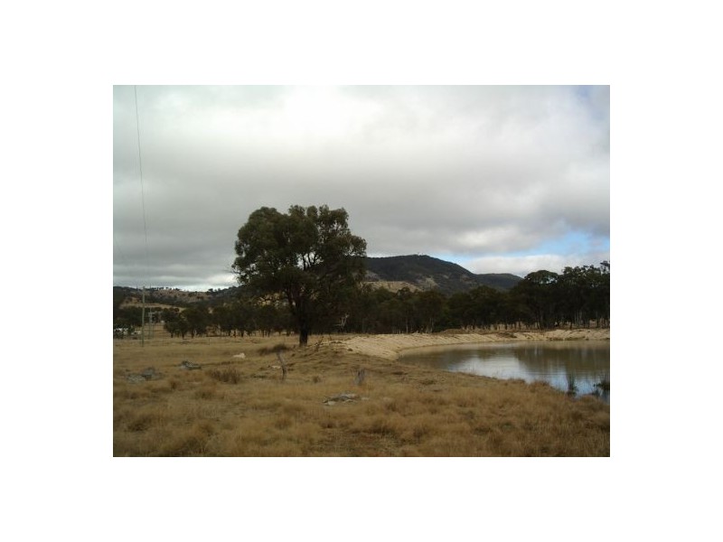 Lot 3 Holleys Road, Tenterfield NSW 2372