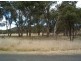 Lot 3 Holleys Road, Tenterfield NSW 2372