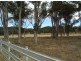 Lot 4 Holleys Road, Tenterfield NSW 2372