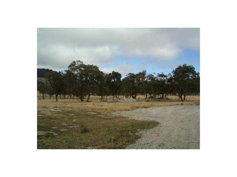 Lot 4 Holleys Road, Tenterfield NSW 2372