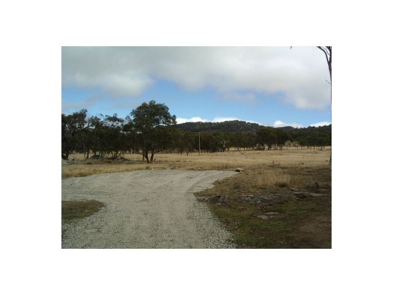 Lot 4 Holleys Road, Tenterfield NSW 2372