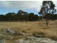 Lot 4 Holleys Road, Tenterfield NSW 2372