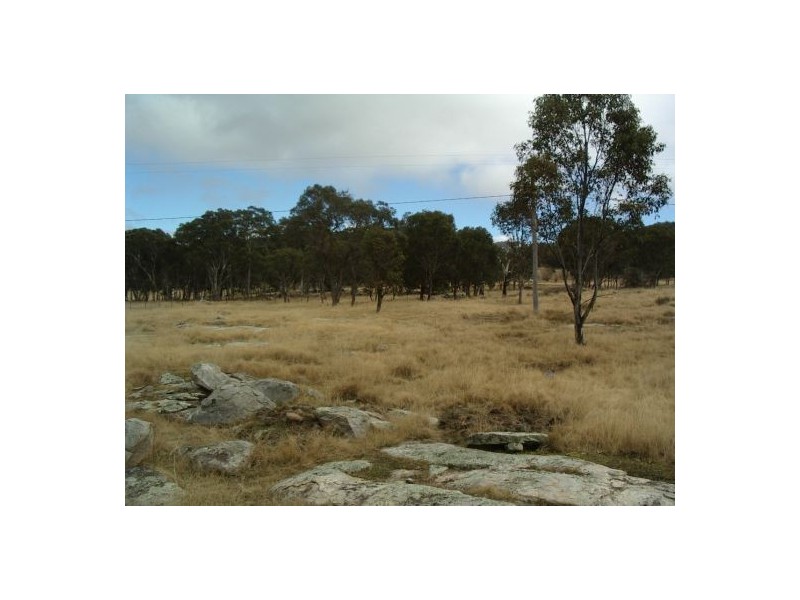 Lot 4 Holleys Road, Tenterfield NSW 2372