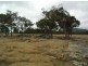 Lot 4 Holleys Road, Tenterfield NSW 2372