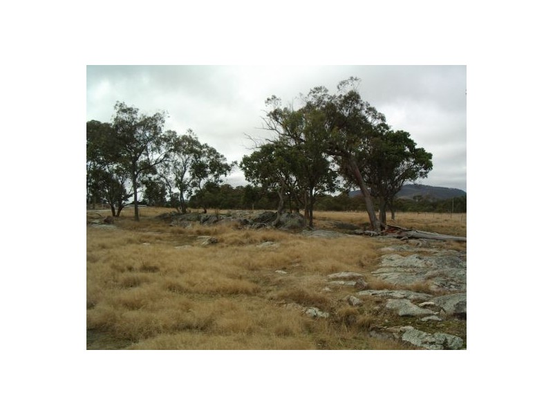 Lot 4 Holleys Road, Tenterfield NSW 2372
