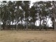 Lot 4 Holleys Road, Tenterfield NSW 2372