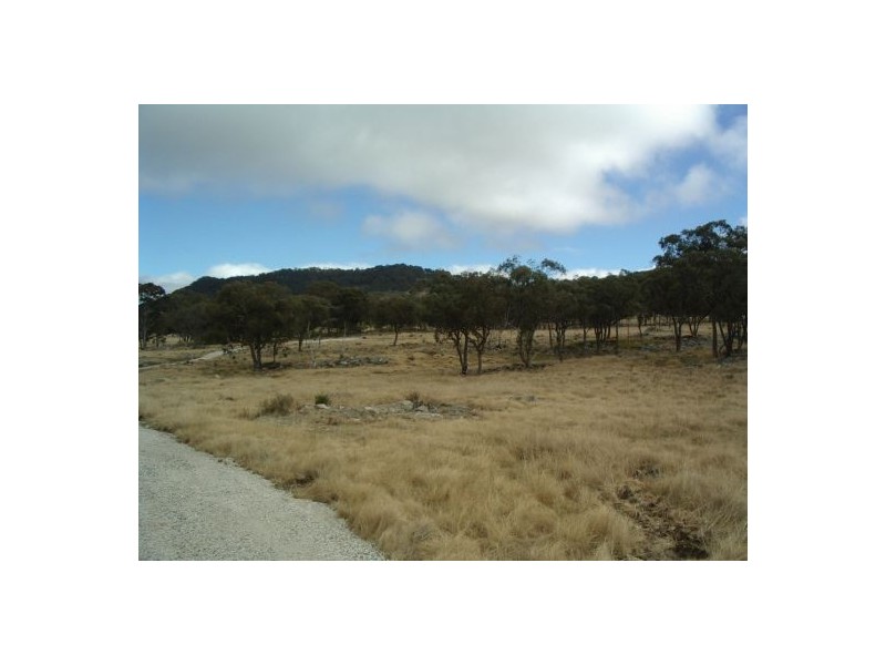 Tenterfield NSW 2372