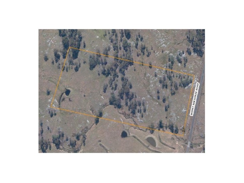 Tenterfield NSW 2372