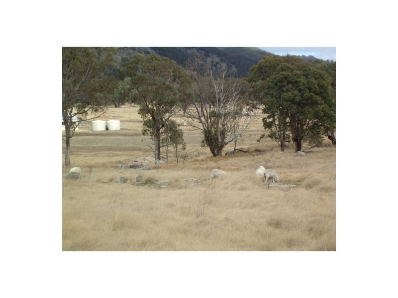 Tenterfield NSW 2372