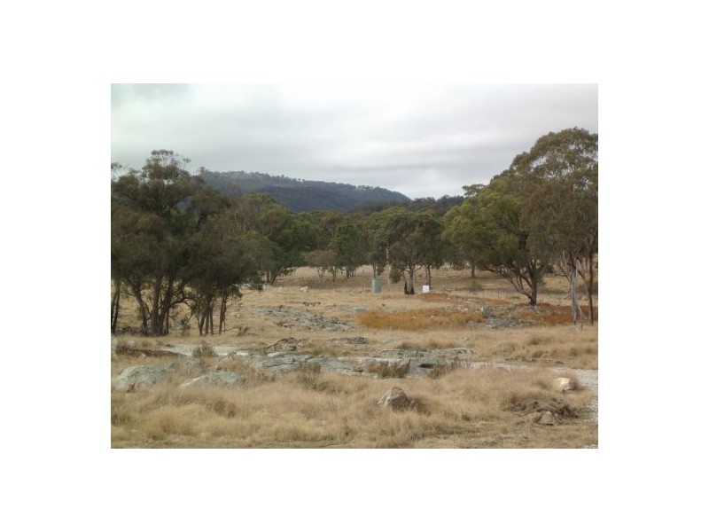 Tenterfield NSW 2372