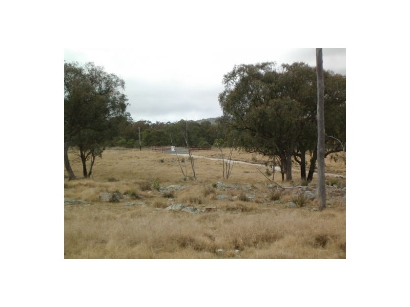 Tenterfield NSW 2372