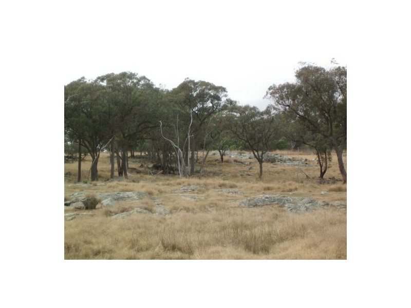 Tenterfield NSW 2372