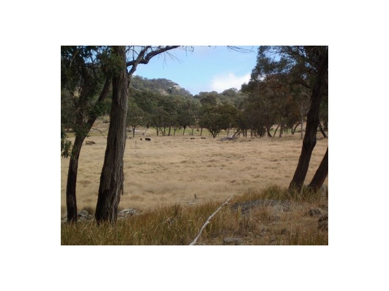 Tenterfield NSW 2372