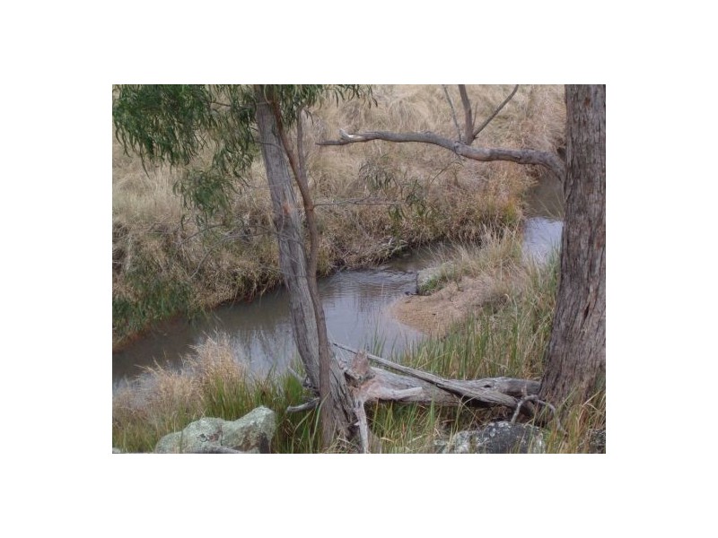 Tenterfield NSW 2372