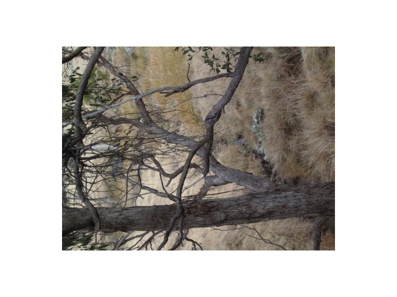 Tenterfield NSW 2372