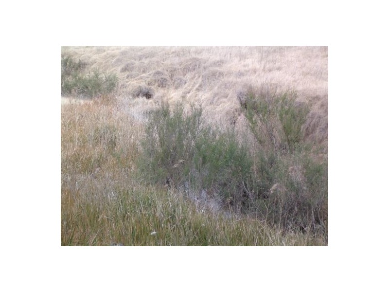 Tenterfield NSW 2372