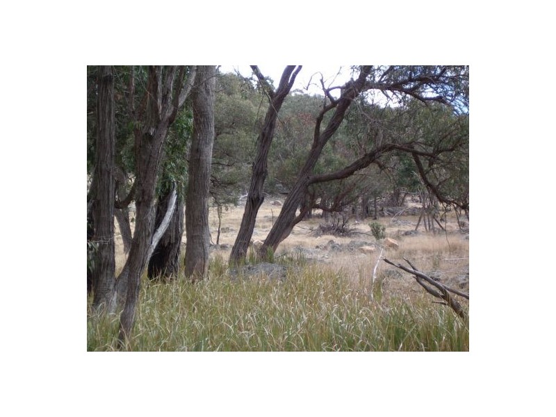 Tenterfield NSW 2372