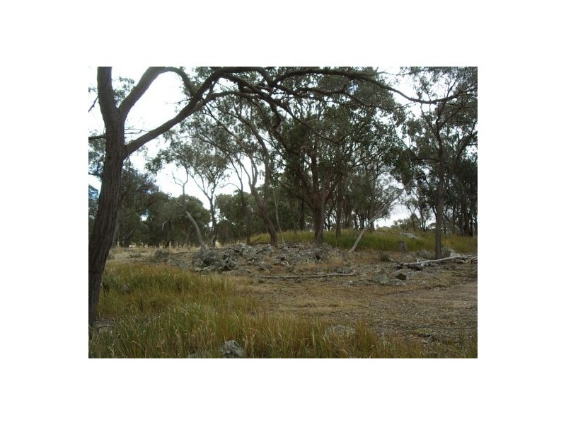 Tenterfield NSW 2372