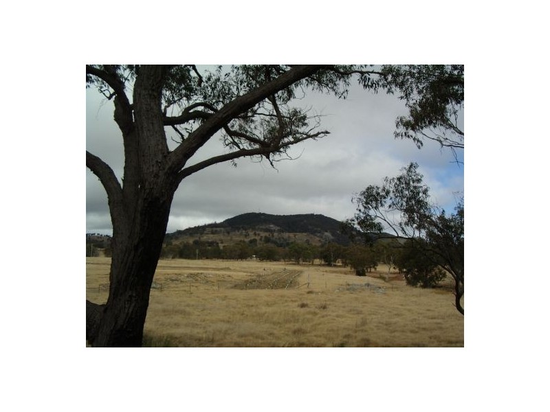 Tenterfield NSW 2372