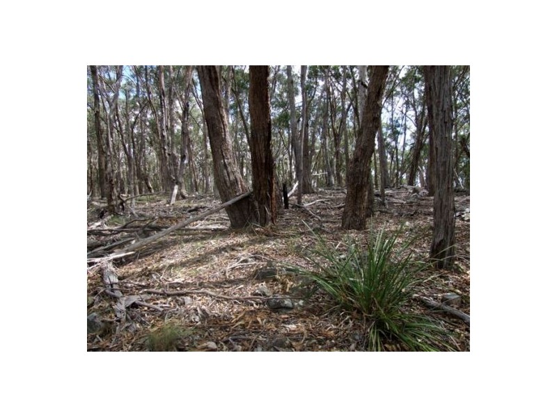 Deepwater NSW 2371