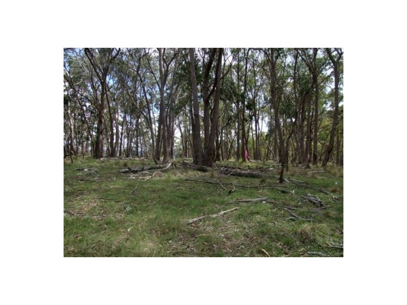 Deepwater NSW 2371