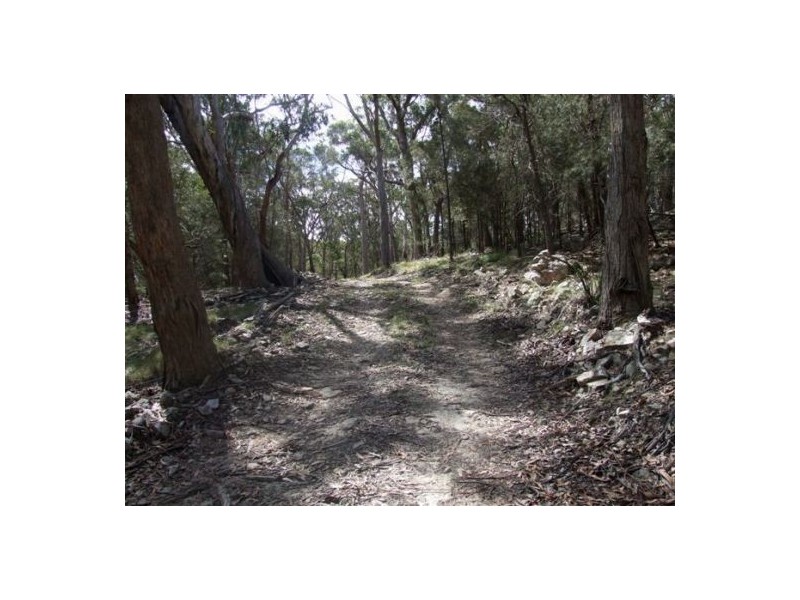 Deepwater NSW 2371