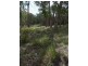 Deepwater NSW 2371