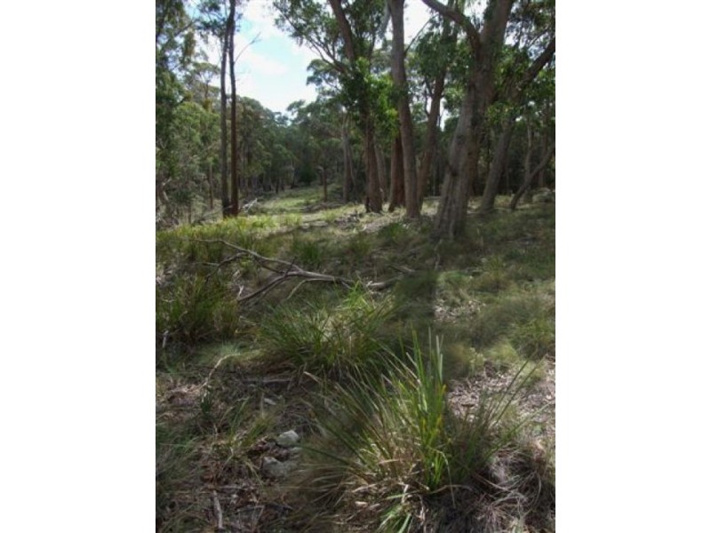 Deepwater NSW 2371