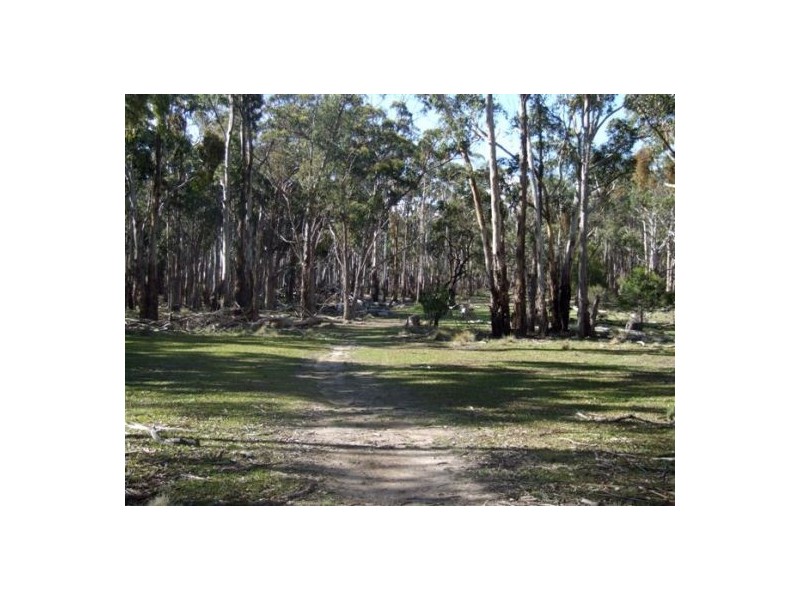 Deepwater NSW 2371