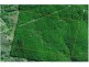 Deepwater NSW 2371