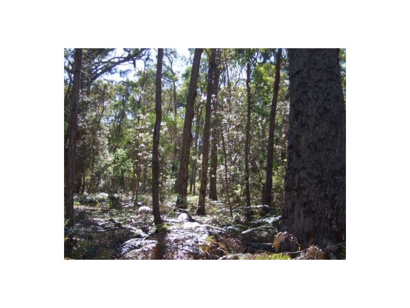 Lot 164 Bushy Park Drive, Glen Innes NSW 2370